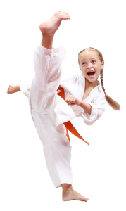 Karate PNG-55501